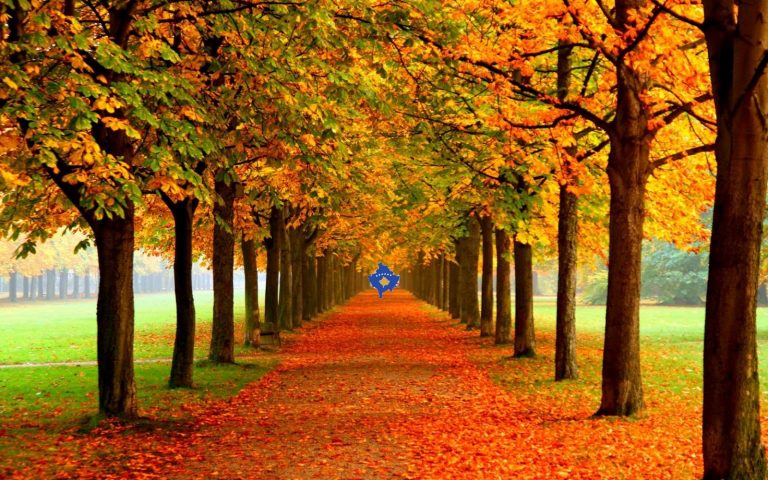 Sot, “Autumn day one” – Dita e parë e Vjeshtës