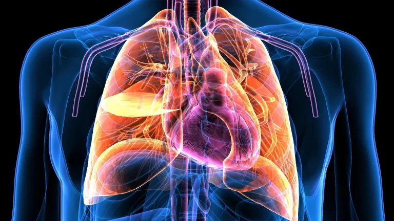 Studimi më i ri, tregon se si pijet energjike ndikojnë në gjak