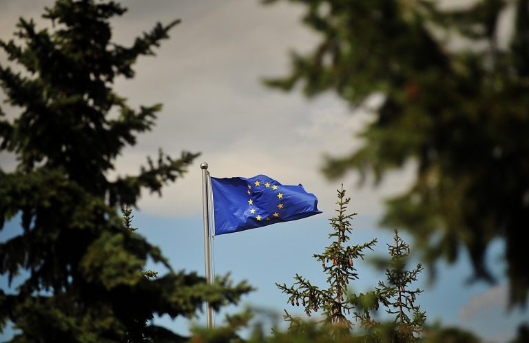 BE godet qeverinë pas miratimit të Ligjit për Zyrtarët Publikë