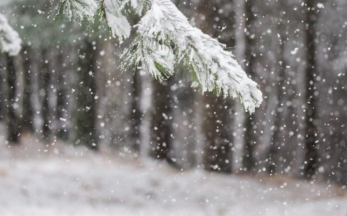 Fotografia ilustruese.