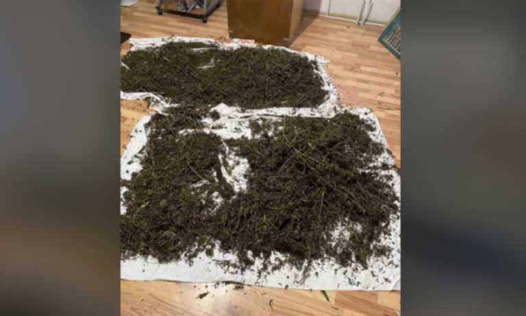 Policia arreston tre persona dhe sekuestron 100 kg drogë në Raushiq të Pejës