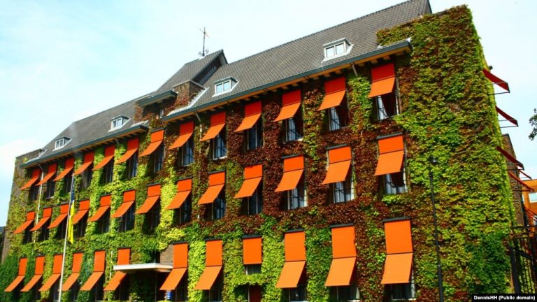 Avokatët thonë se dëshmitarët kryesorë në Speciale tashmë kanë dëshmuar