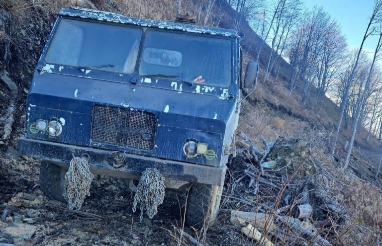 (FOTO) Arrestohen dy persona në Veri për vjedhje të pyllit, Policia jep detajet