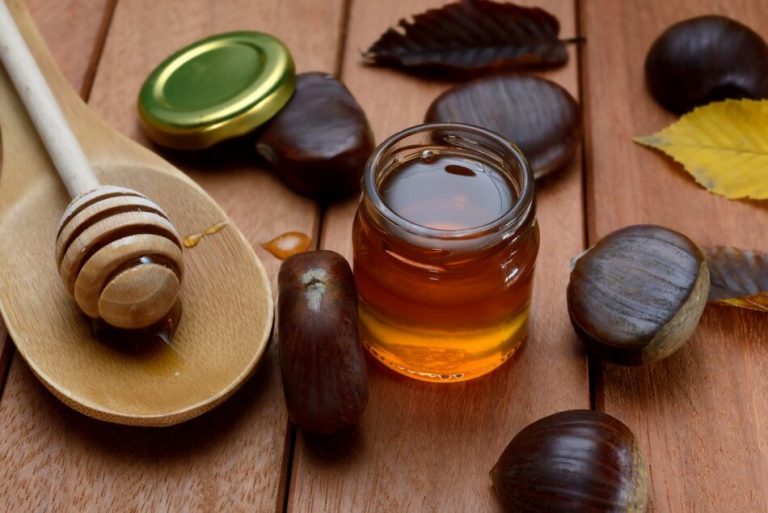 Pse ka kaq shumë rëndësi për shëndetin, përdorimi i mjaltës së gështenjës?