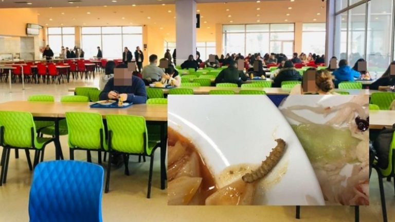 Krimba dhe insekte në ushqimin e studentëve në Mensë