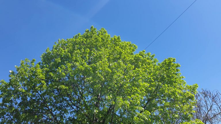 Mot i kthjellët dhe i ngrohtë sot – deri në 29°C