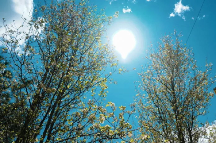 Fotografi ilustruese.