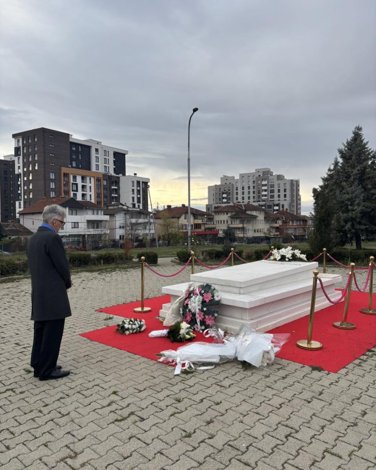 Ambasadori gjerman, Rudolph: Rugova, avokat i rezistencës