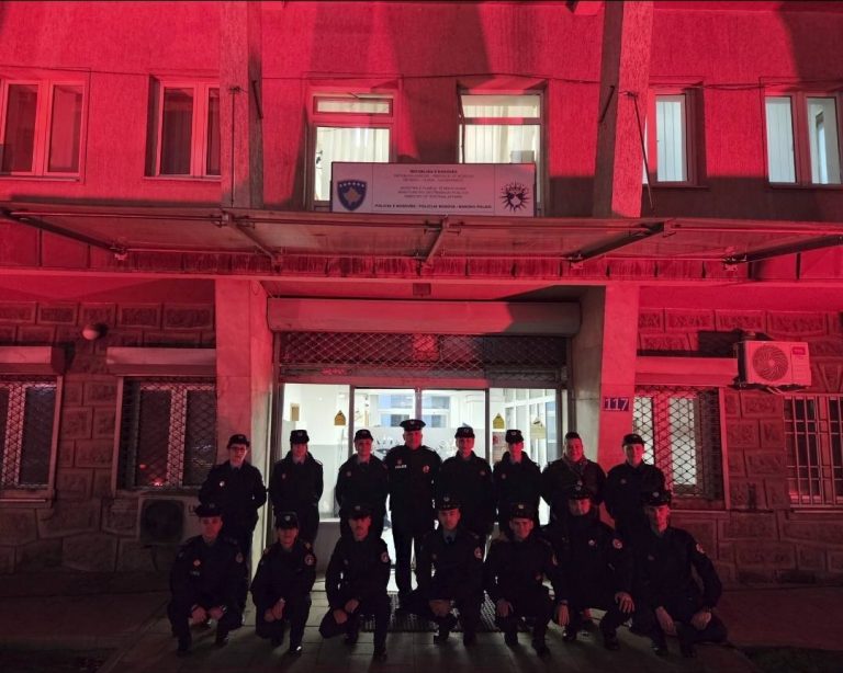 Policia përmbyll fushatën “16 Ditët e Aktivizmit kundër Dhunës në Baza Gjinore”