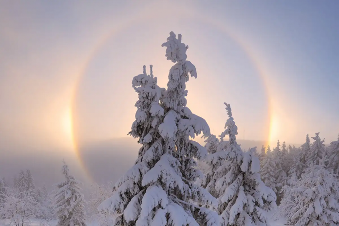 Fotografi ilustruese.