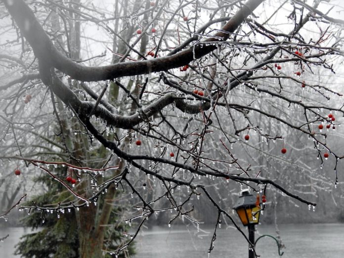 Fotografi ilustruese.