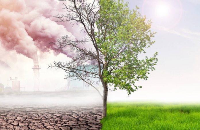 Fotografi ilustruese.